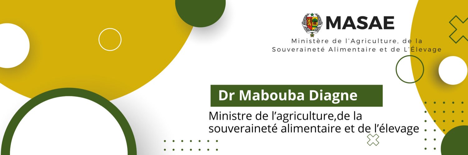 Dr Mabouba Diagne's banner