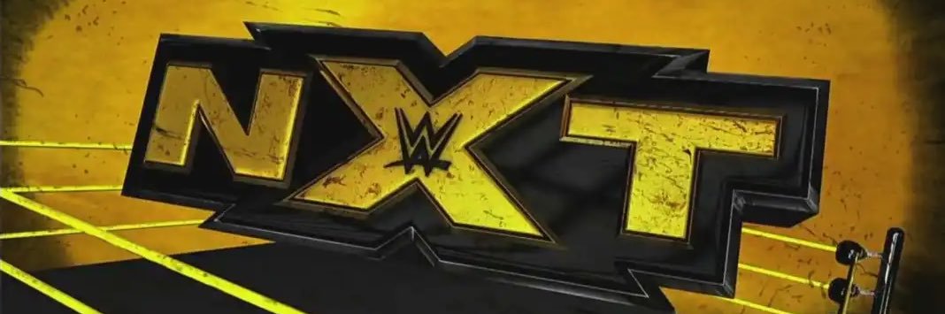 History of NXT's banner