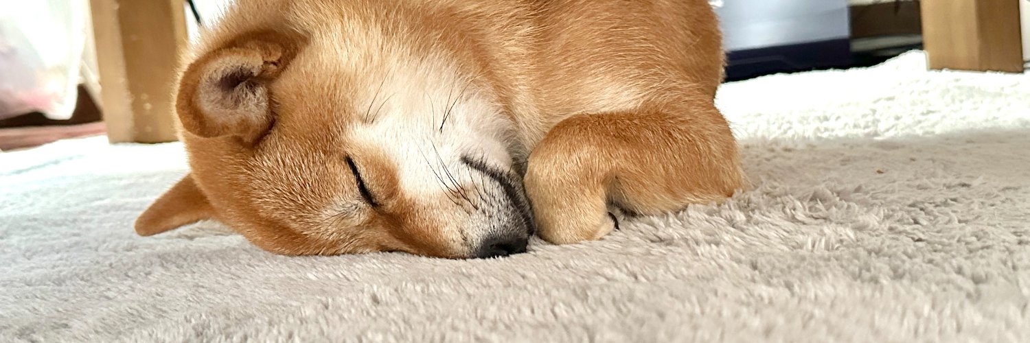 シバシバお豆's banner