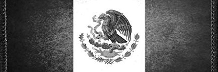 territorio_mex's banner