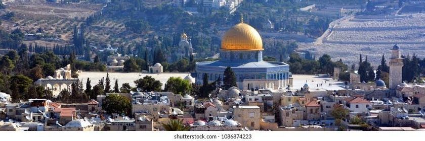 Noor 🇵🇸's banner
