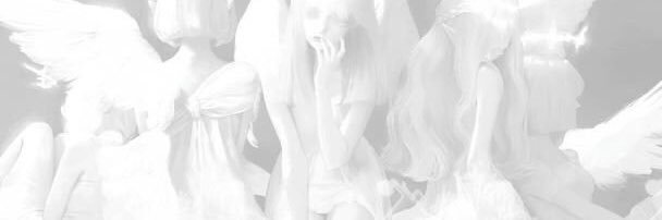 noir's banner