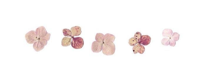 𓈒 𓇼｡.'s banner