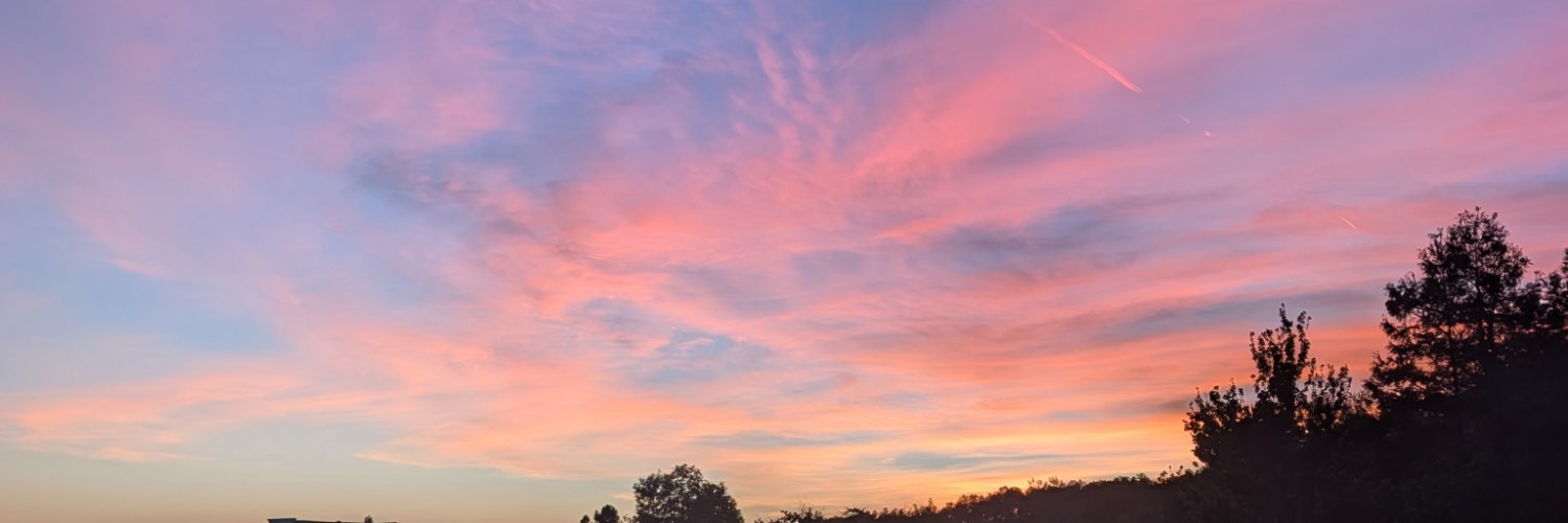 Summer Bella - Tampa, Fl 🌴's banner