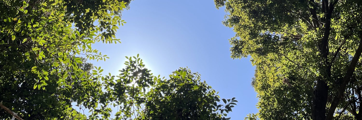 しあわせのたね🌱's banner
