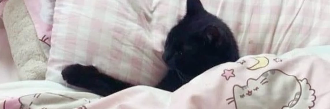 sleepygirl ୨୧'s banner