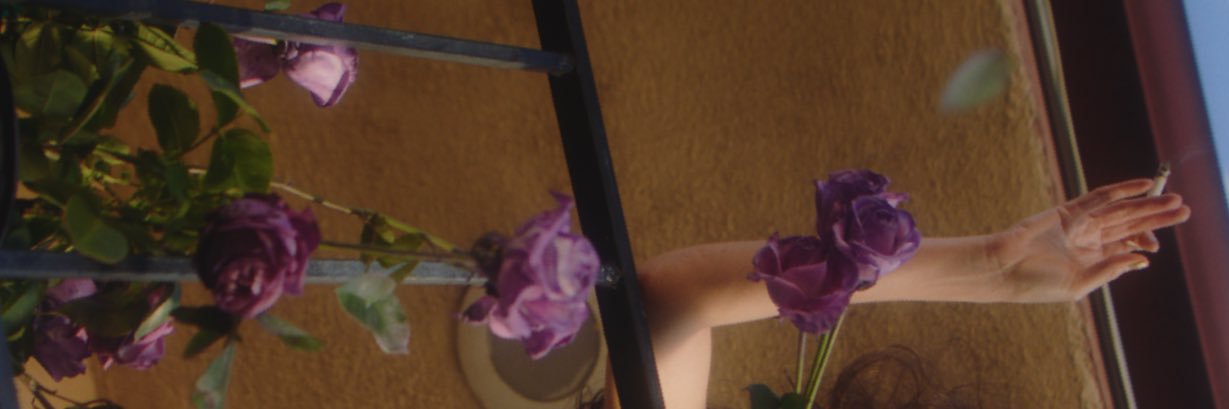 Jenna Haze's banner