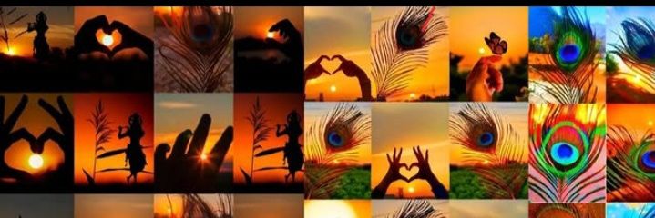 Suraj Tanwar's banner