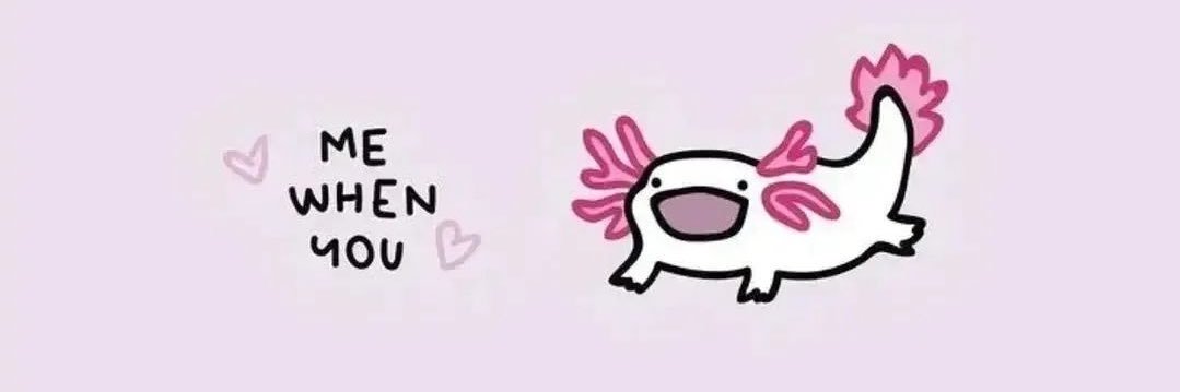 lil princess's banner