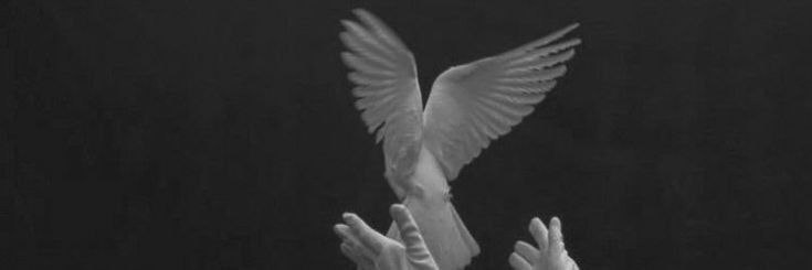 𝐻𝑎𝑑𝑖 𝐽𝑜𝑤𝑎𝑑's banner