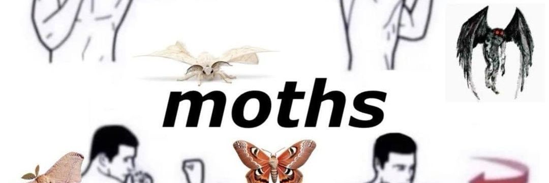 moths's banner