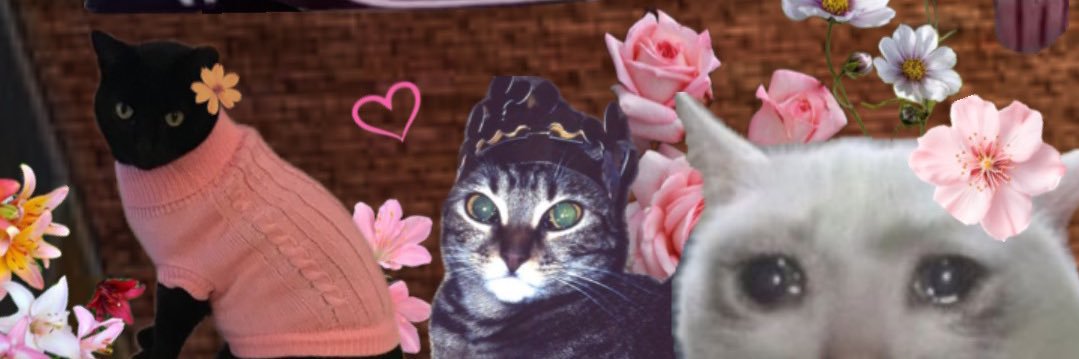 Jude✰🫧💀✰🫧's banner