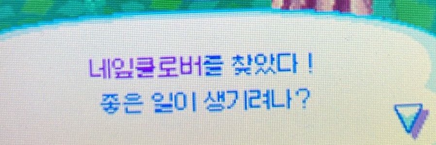 판다 (՞ 𐐃 ㉨𐐃՞)🎋's banner