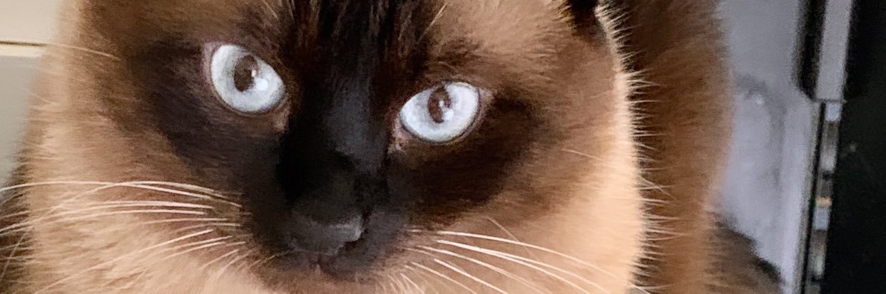 Cris 🍞🍞🍞's banner