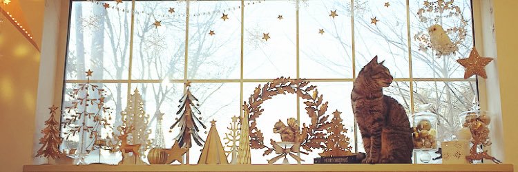 もも　と　みらい's banner