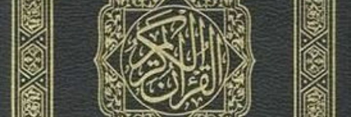 عاجل اليمن 🇾🇪's banner