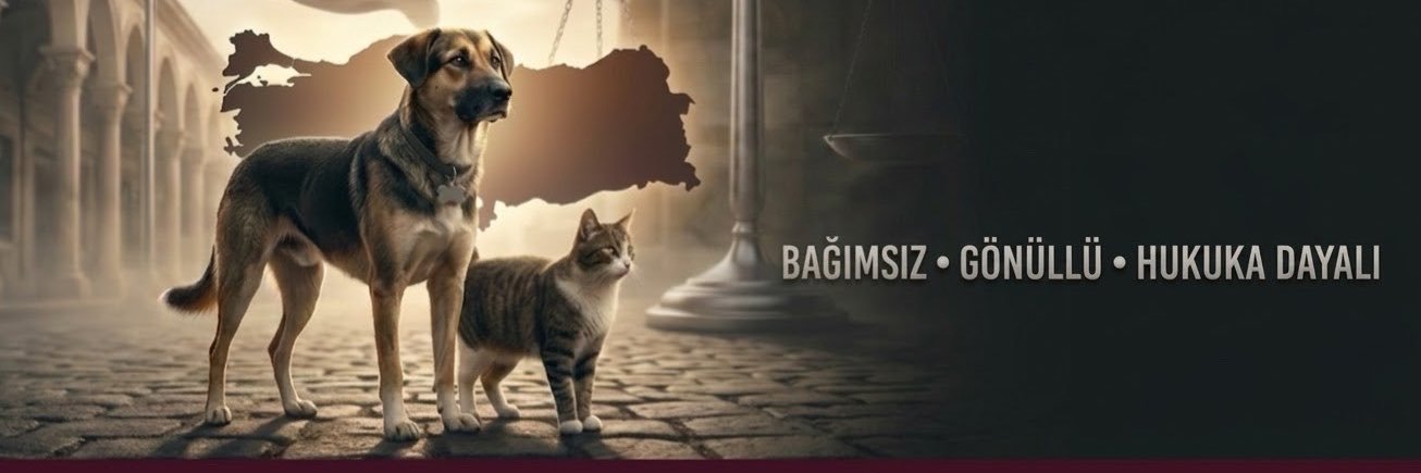 Hayvan Hakları Platformu | Türkiye's banner