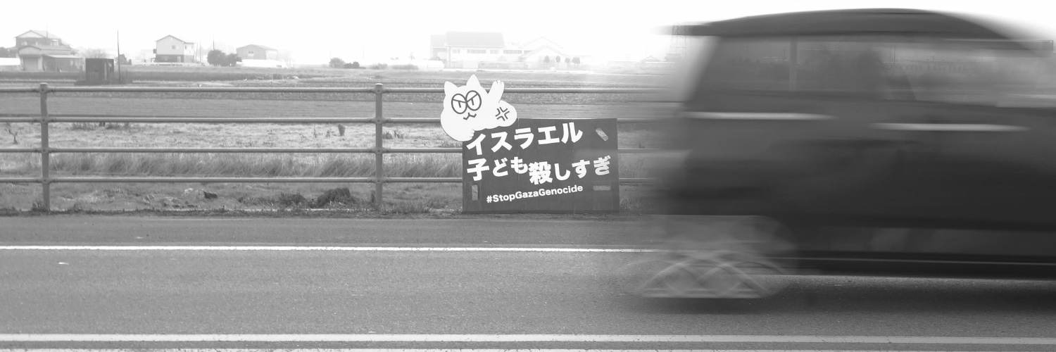 RUN AWAY SYSTEMS's banner