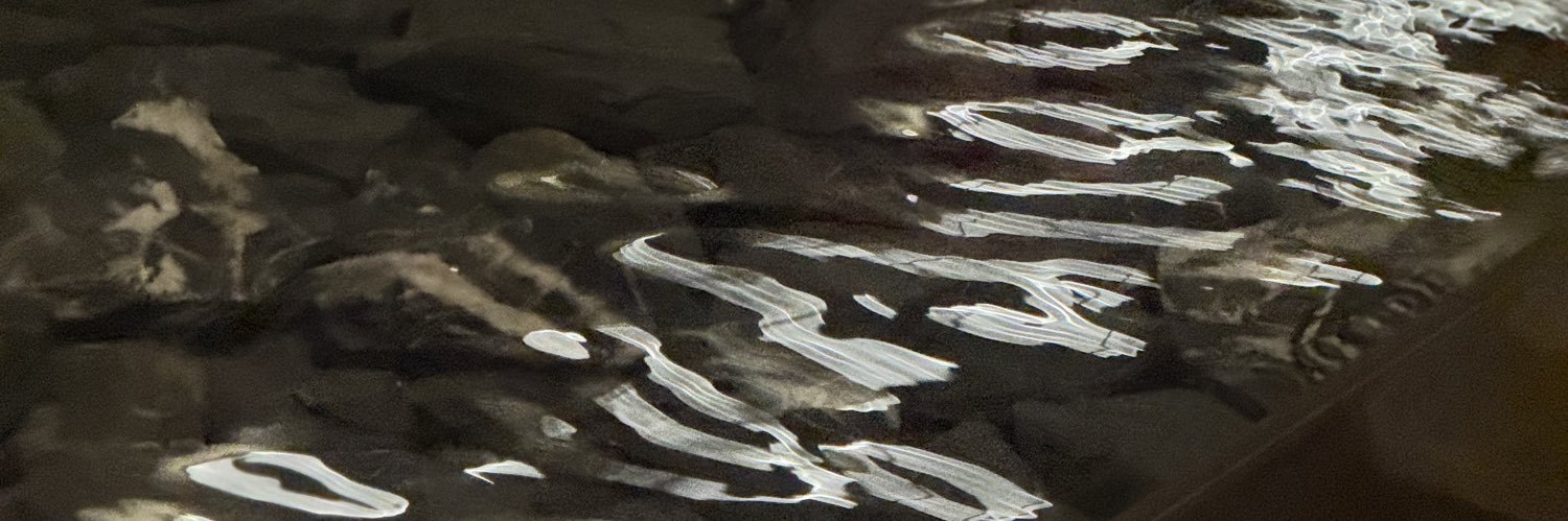Pusssy_D's banner