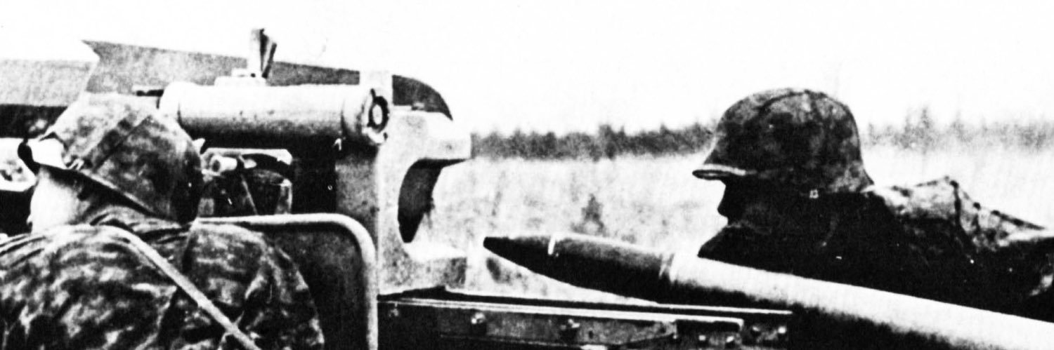 Fritz's banner