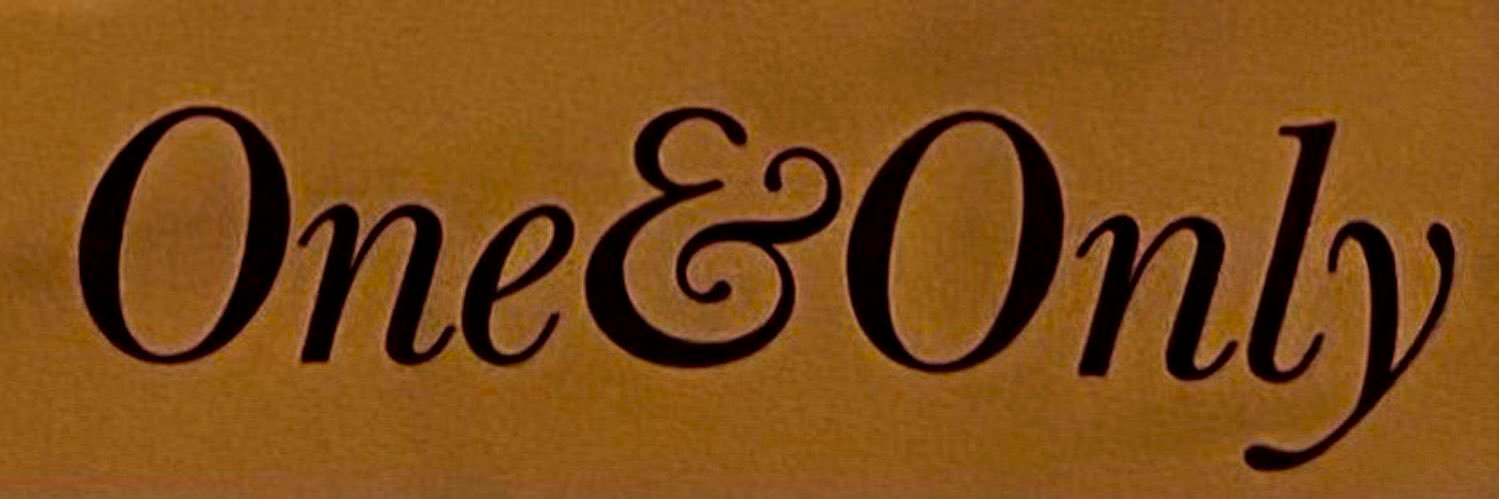 muse's banner