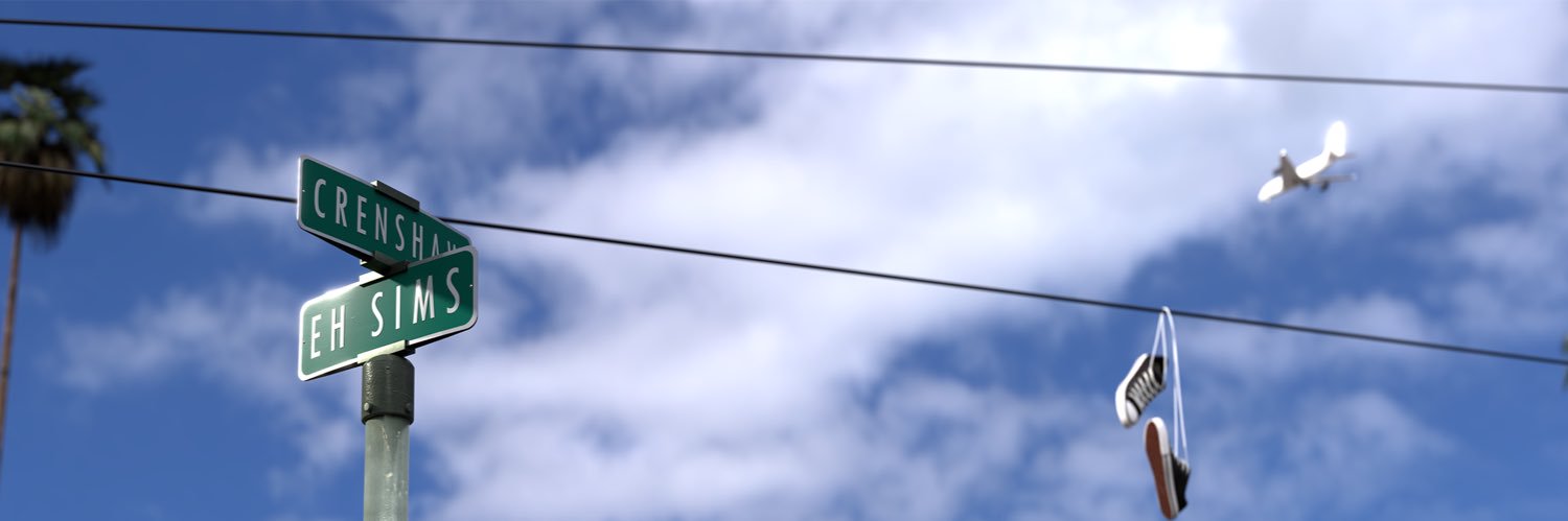 EH Sims's banner