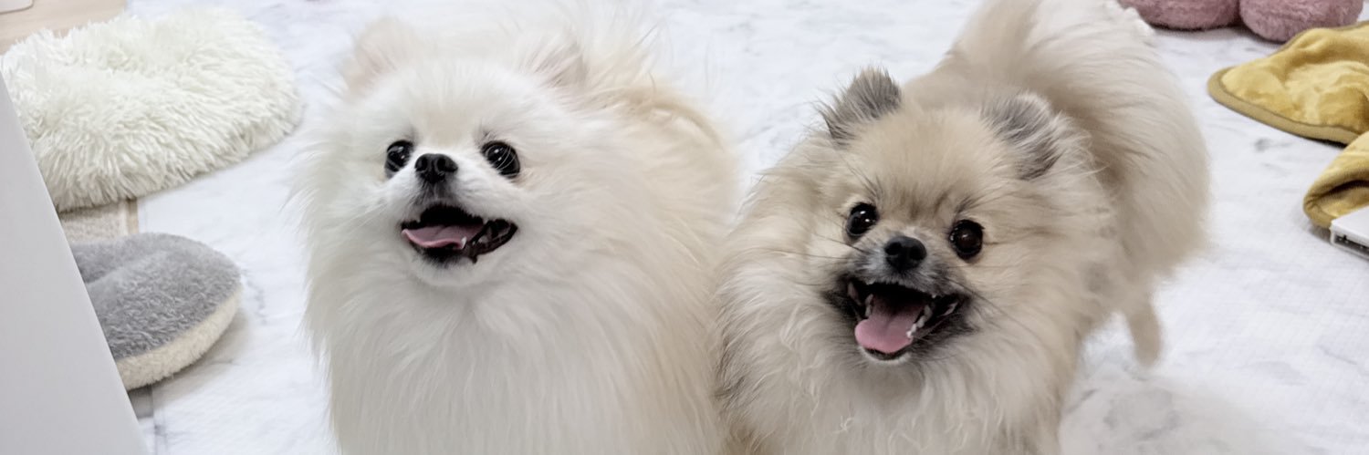 たぶん犬＊てちメト's banner