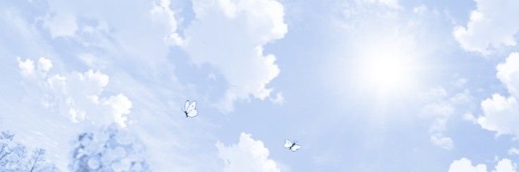 Flower 🌸's banner