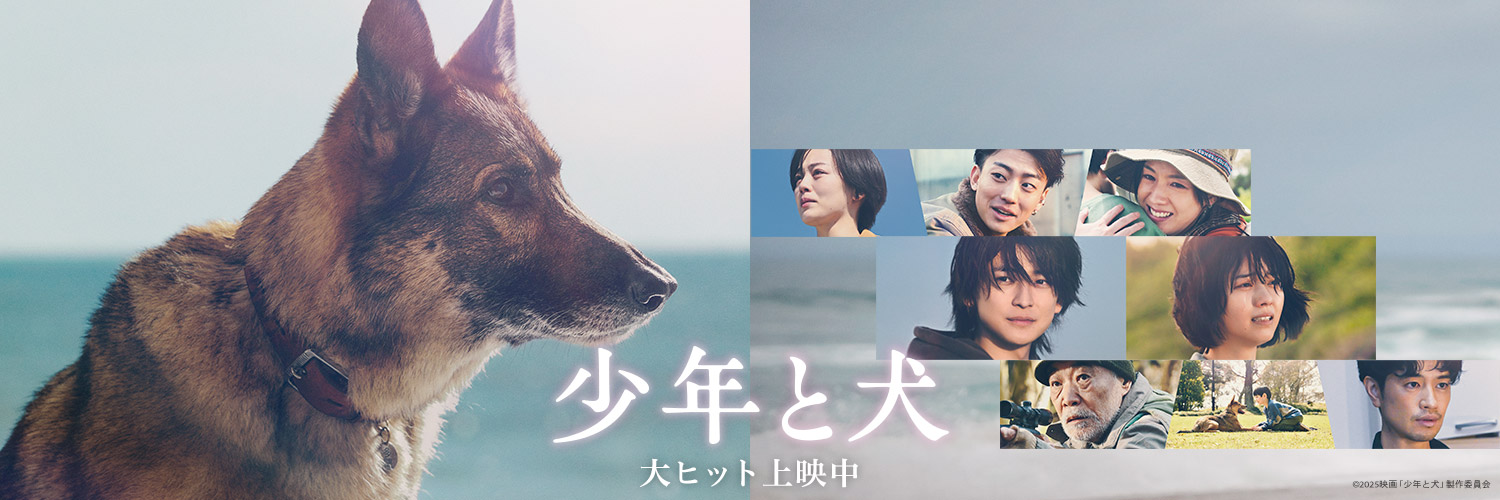 映画『少年と犬』公式's banner