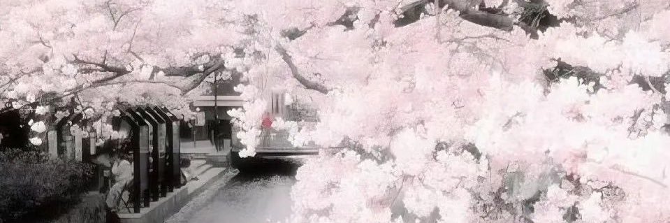 月's banner