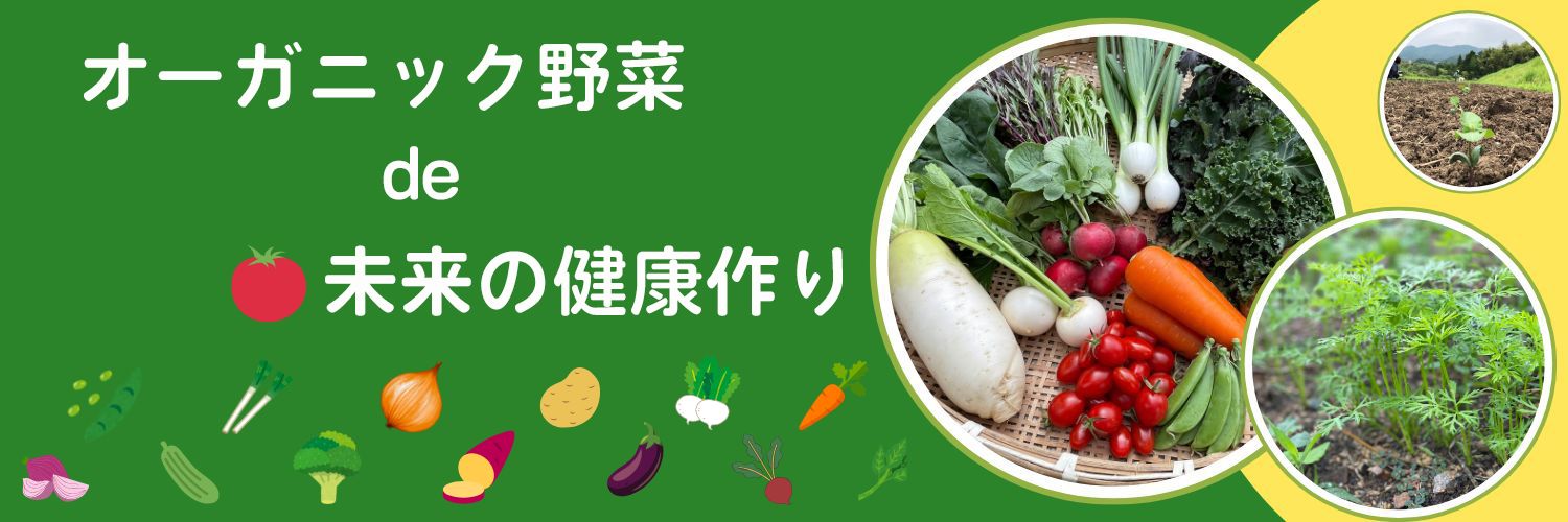 きくえ's banner