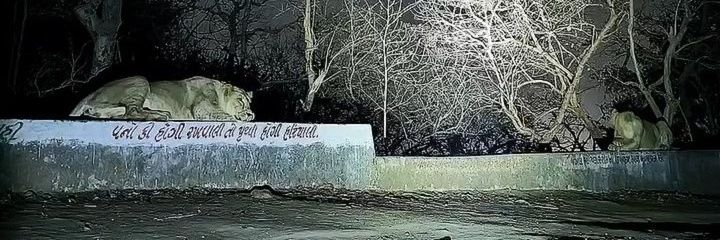 Manan Trivedi's banner