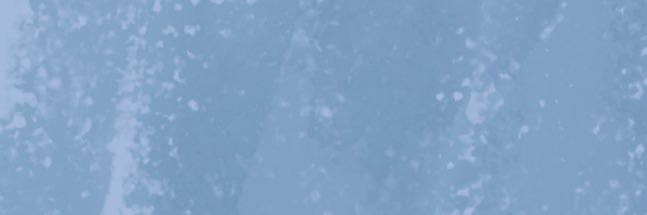 max 🌑's banner