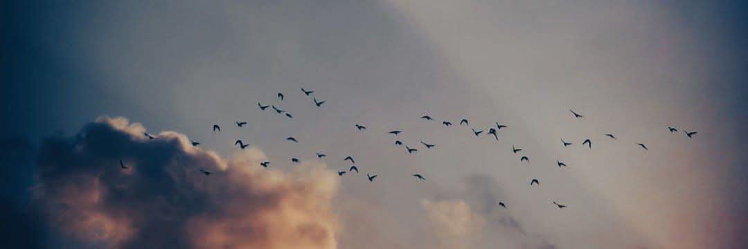 أماني's banner