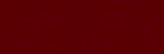 KN🪢WT's banner