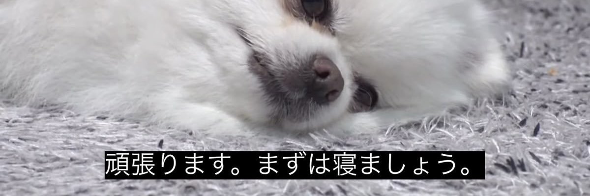 都忘のあ's banner