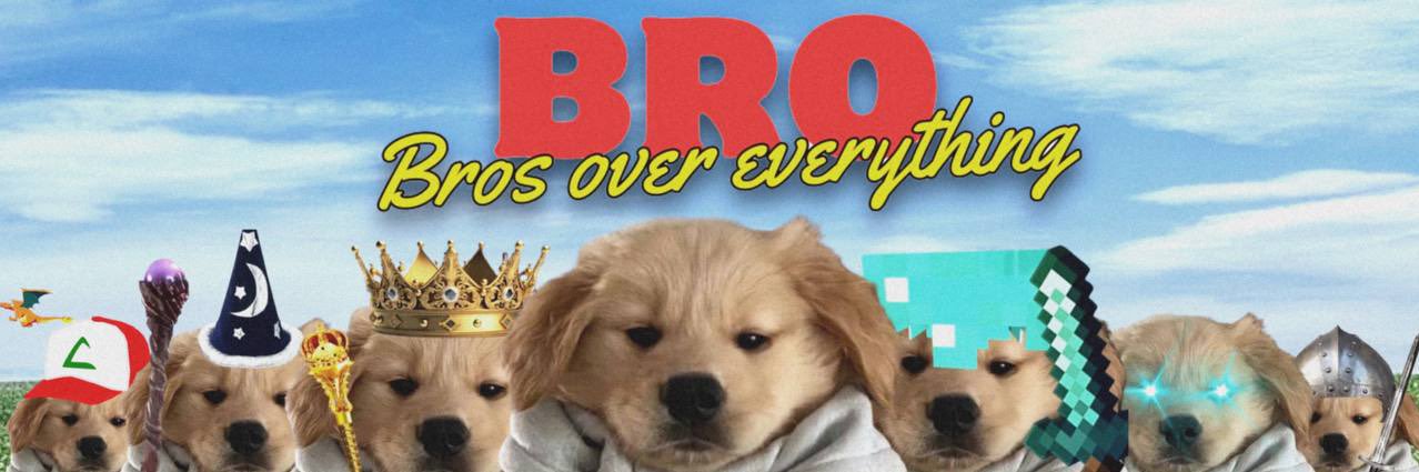 BroDogCoin CTO's banner