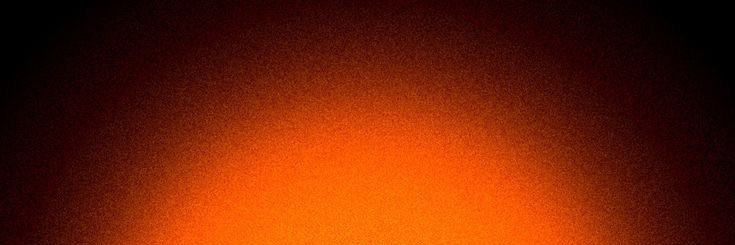 she's banner