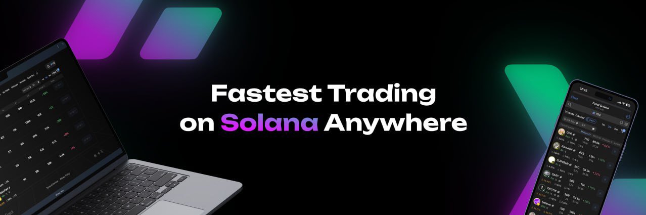 Fasol Solana's banner