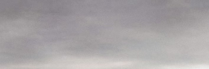 今天也紫薇了's banner