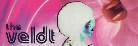 butch boy fanta🌊's banner
