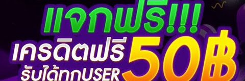 สาวใหญ่เทสดี's banner