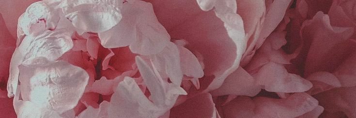 𝐀𝐧𝐧'𝐇 • ° ❀ 𝕖𝕕𝕥𝕨𝕥 ❀ ° •'s banner