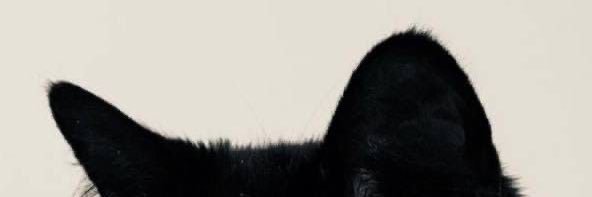 nnn's banner
