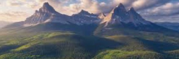 Mountain_Tui's banner