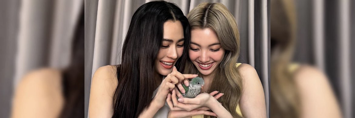 𝓢𝒂𝓯𝓮 𝓩𝒐𝒏𝒆🌙's banner
