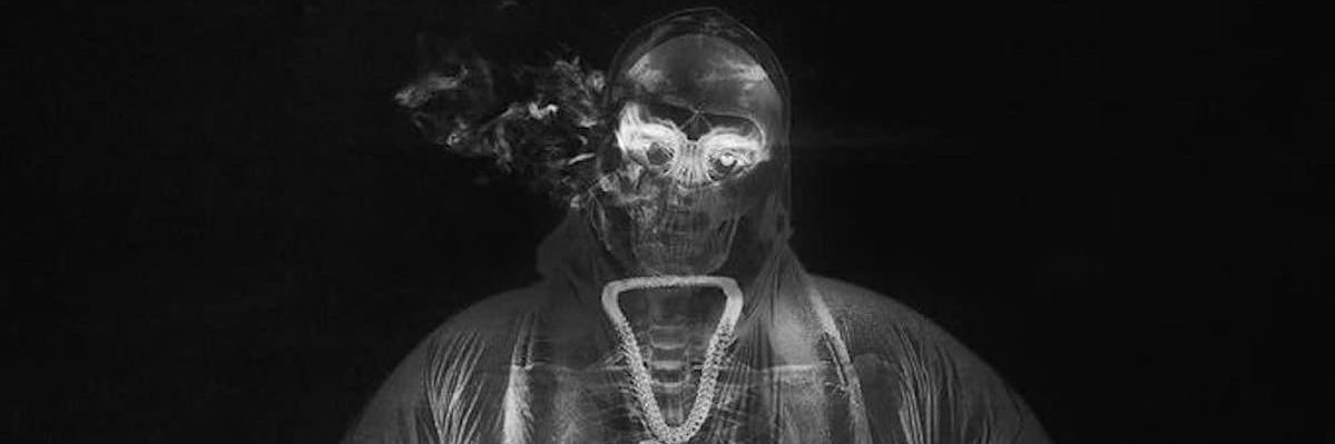 NIGGANOOBSAIBOT's banner