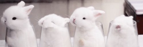 ꒰🧁୭ ƙׁׅ֑ittie princesa de los 🐰's banner