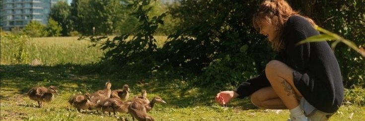 acervo ella purnell 📁's banner