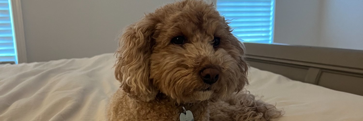 Ruby Reviews's banner